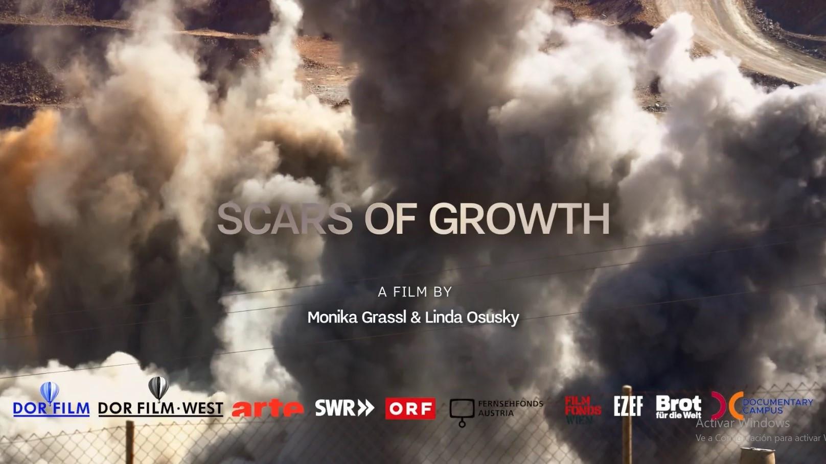 Scars of Growth