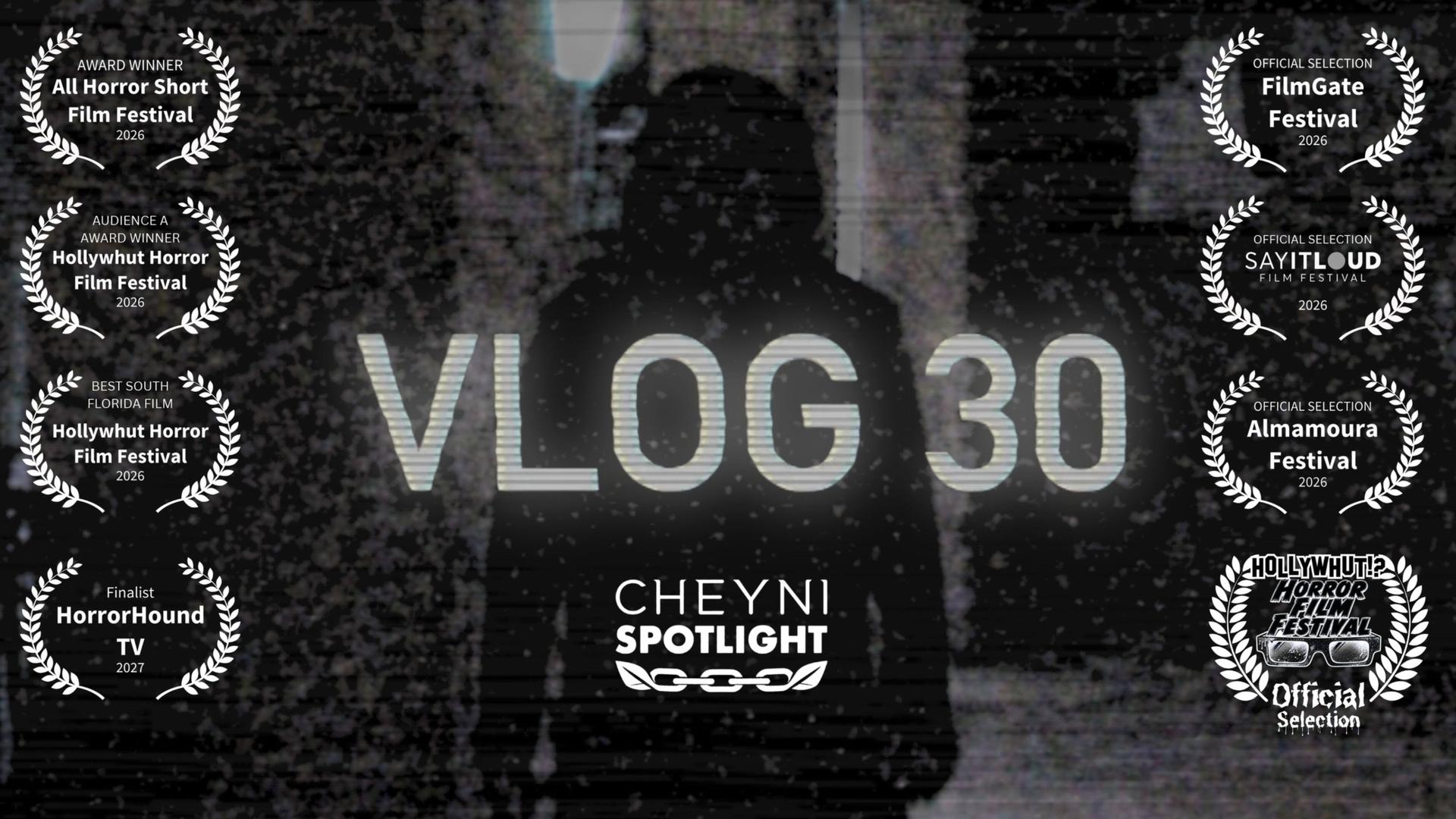 Vlog 30