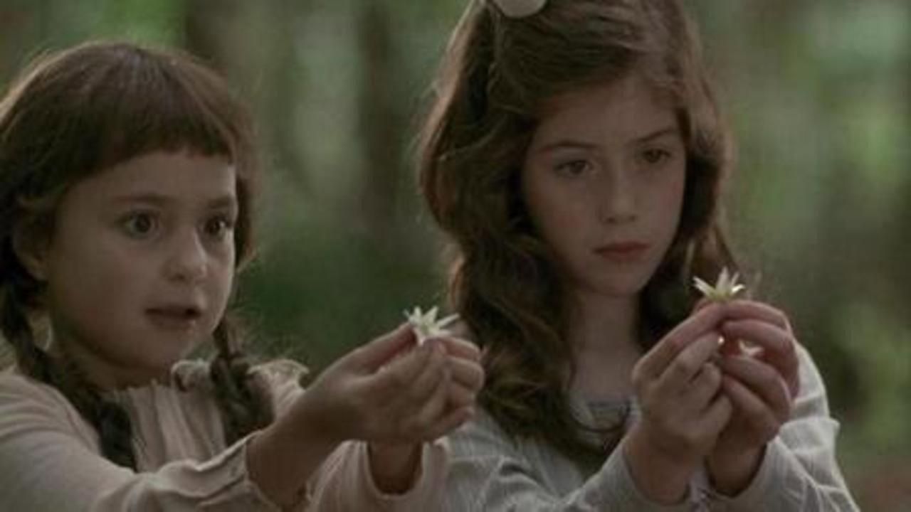 Photographing Fairies