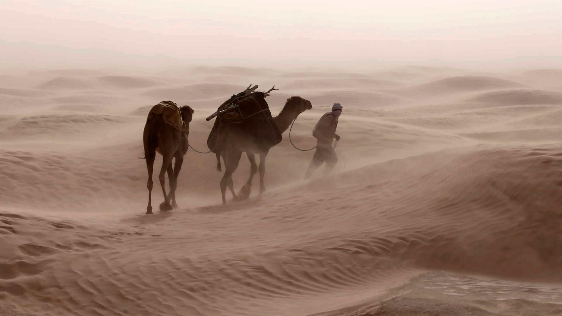Winds : an Invisible Strength