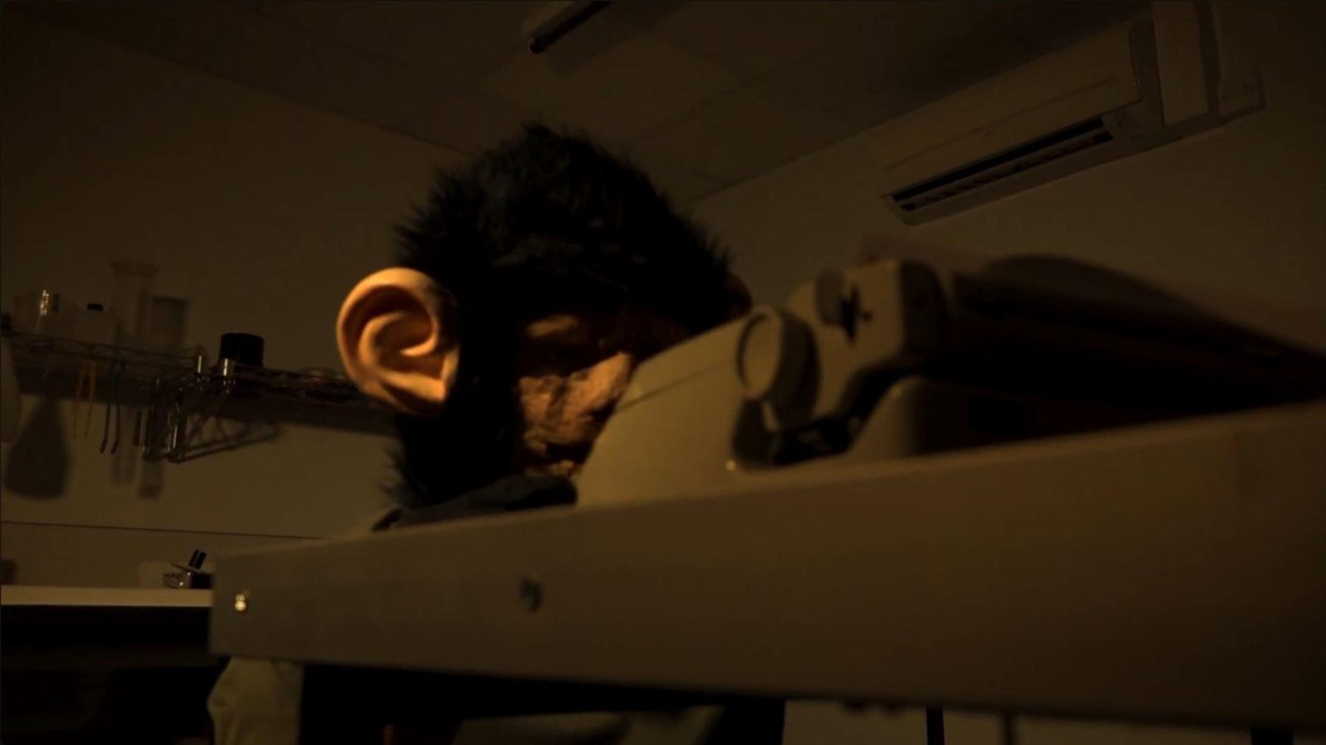 The Infinite Monkey Theorem