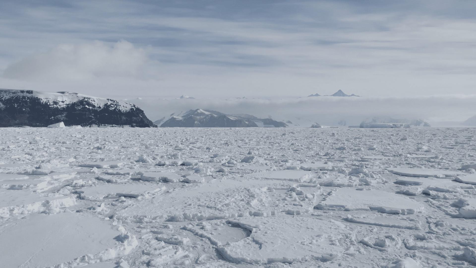 Antarctica in a Warming World