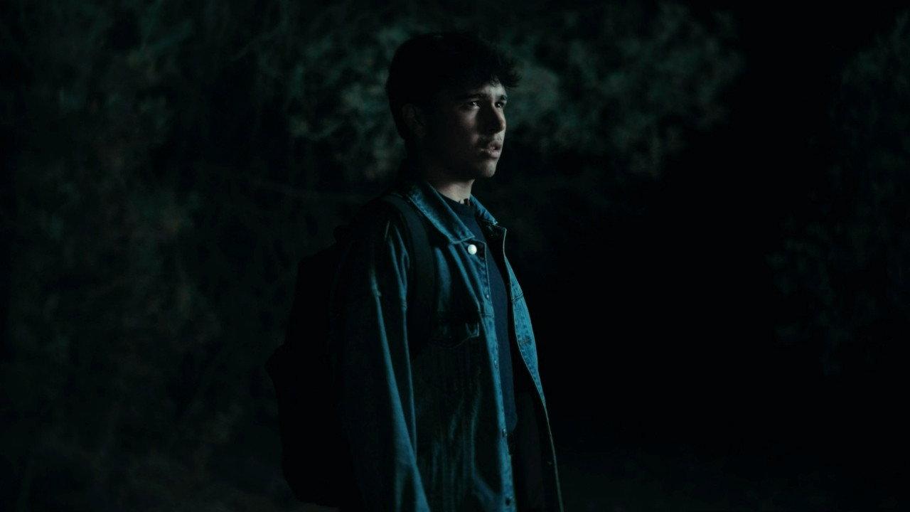 The Echo Forest