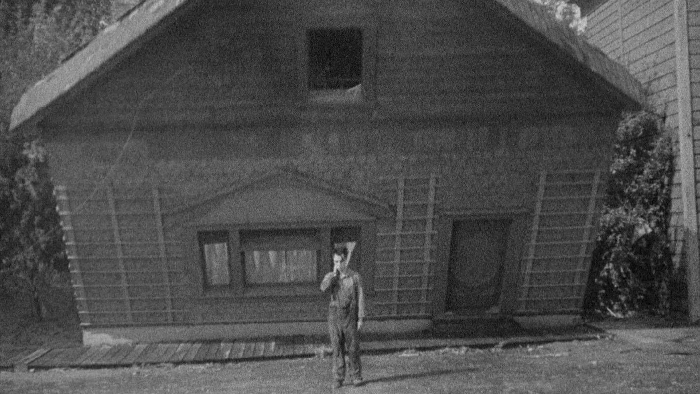 Steamboat Bill, Jr.