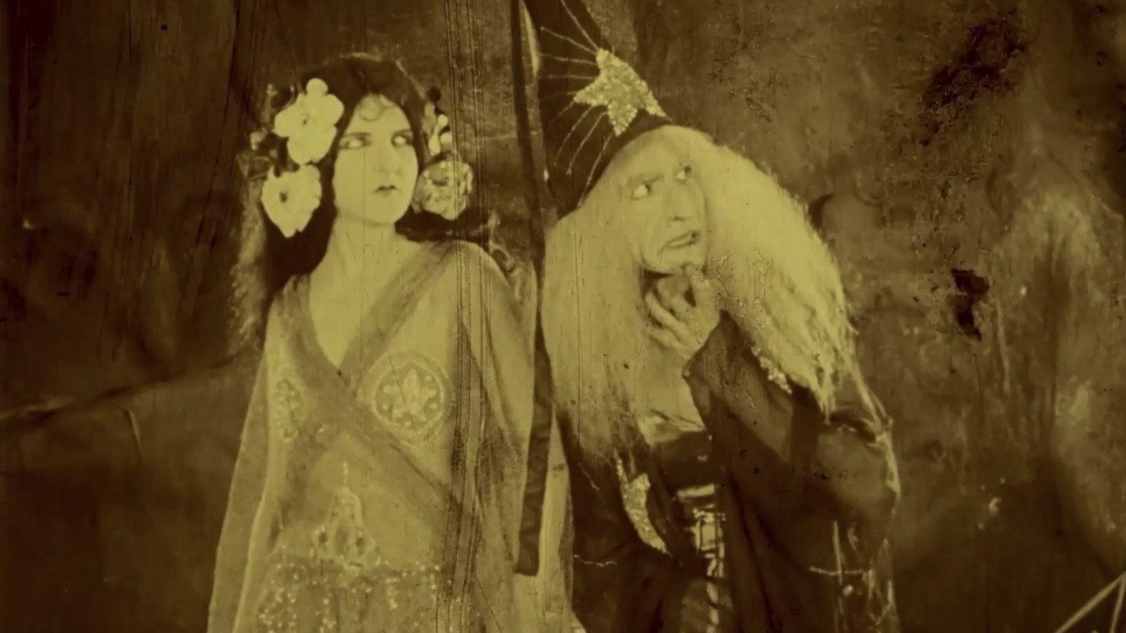 Folly of Vanity