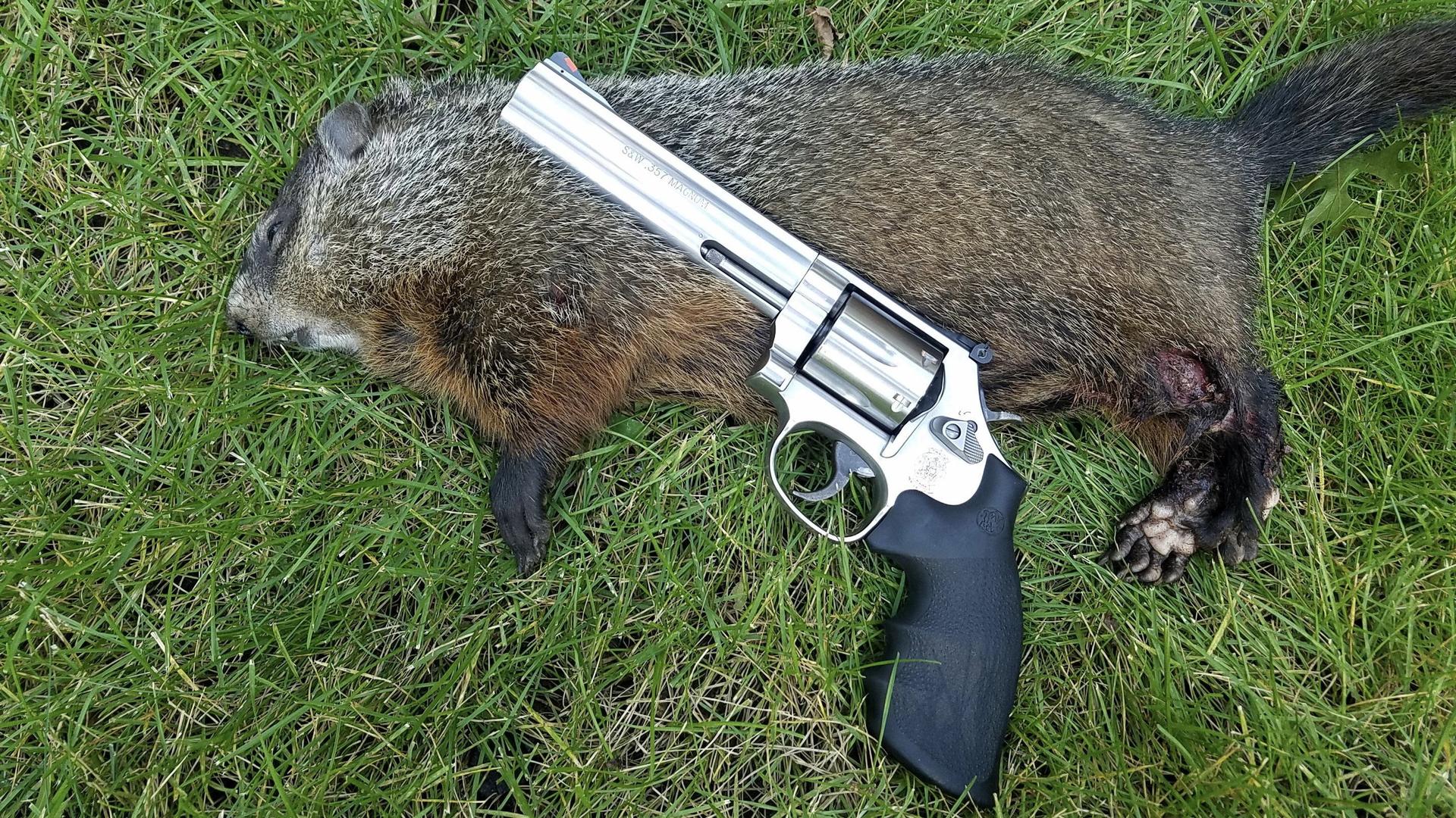 Mr. Groundhog meets Santa Claus