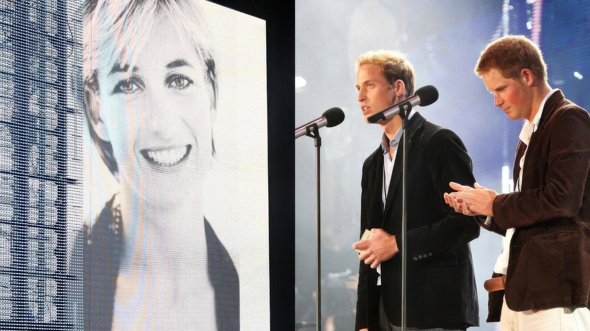 Concert for Diana