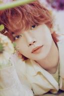 JOSHUA