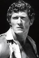 Brad Harris