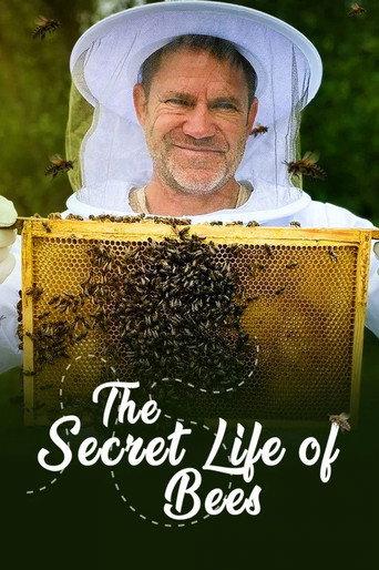 The Secret Life of Bees