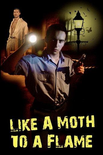 Like a Moth to a Flame