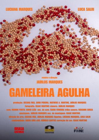 Gameleira Agulha
