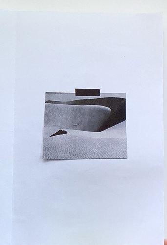 Daybook