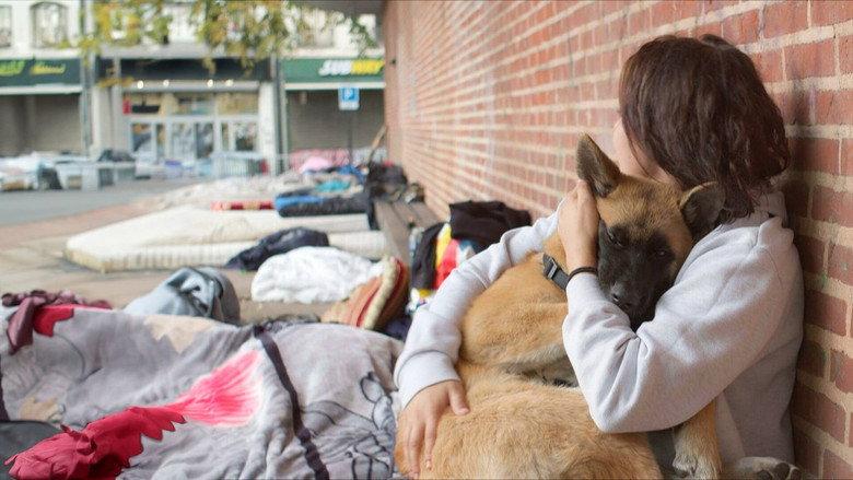 femmes sans domicile fixe ,fragments de vies