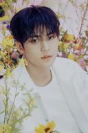 MINGYU